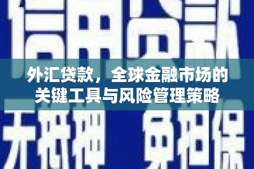 犍为外汇贷款，全球金融市场的关键工具与风险管理策略