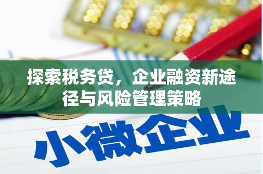 犍为探索税务贷，企业融资新途径与风险管理策略