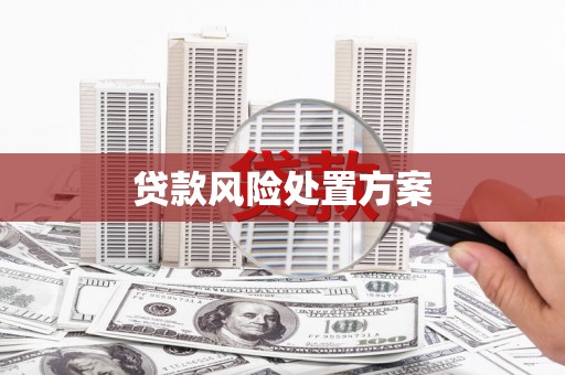 犍为贷款风险处置方案