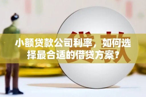 犍为小额贷款公司利率，如何选择最合适的借贷方案？
