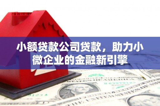 犍为小额贷款公司贷款，助力小微企业的金融新引擎