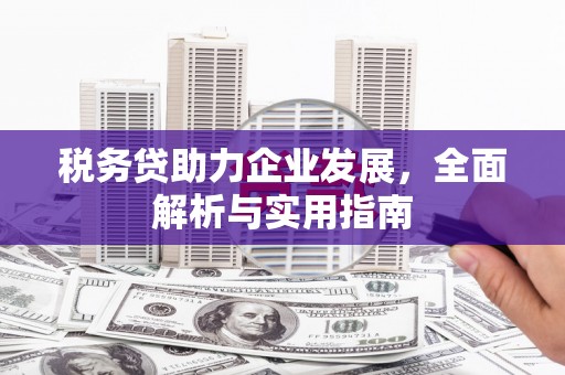 犍为税务贷助力企业发展，全面解析与实用指南