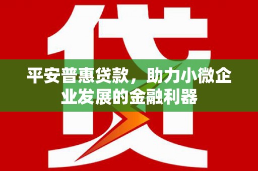 犍为平安普惠贷款，助力小微企业发展的金融利器