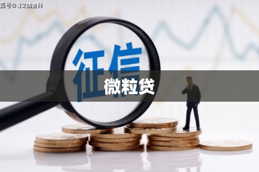 犍为微粒贷