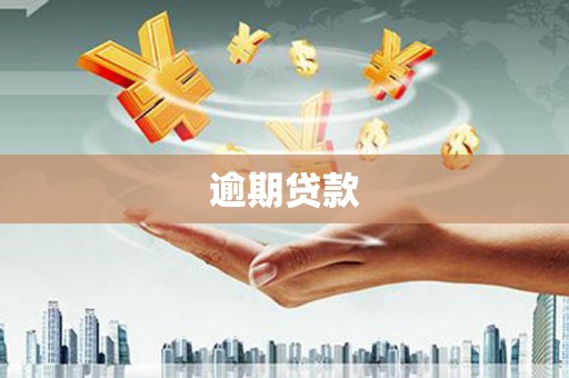 犍为逾期贷款