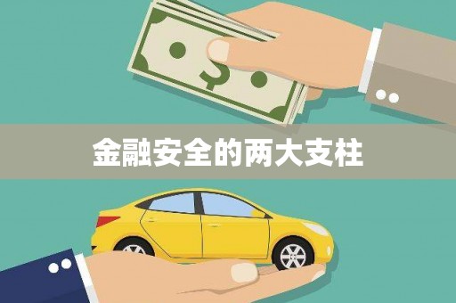 犍为金融安全的两大支柱
