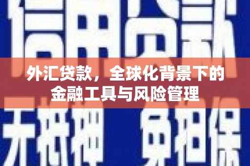 犍为外汇贷款，全球化背景下的金融工具与风险管理