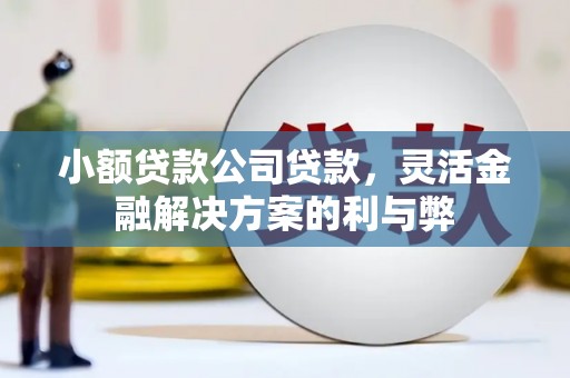 犍为小额贷款公司贷款，灵活金融解决方案的利与弊